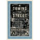 Taming the Street: The Old Guard, the New Deal, and FDR's Fight to Regulate American Capitalism