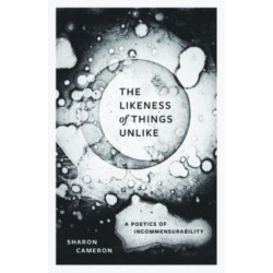 The Likeness of Things Unlike: A Poetics of Incommensurability