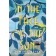 In the Face of the Sun: A Fascinating Novel of Historical Fiction Perfect for Book Clubs