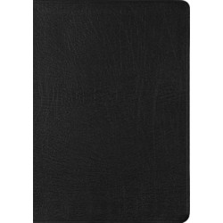 ESV New Testament with Psalms and Proverbs