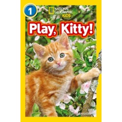 Play, Kitty!: Level 1