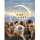 Seven Worlds One Planet