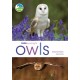 RSPB Spotlight Owls