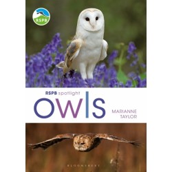 RSPB Spotlight Owls