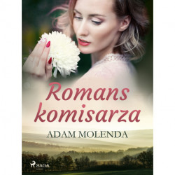 Romans komisarza