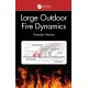 Large Outdoor Fire Dynamics