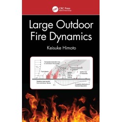 Large Outdoor Fire Dynamics