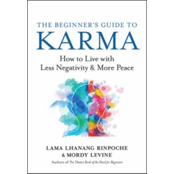 The Beginner’s Guide to Karma: How to Live with Less Negativity and More Peace