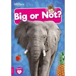Big or Not?