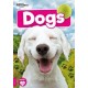 Dogs