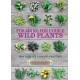 Foraging for Edible Wild Plants: How to identify, cook and enjoy them