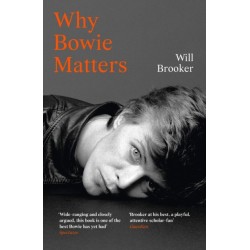 Why Bowie Matters