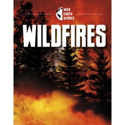 Wildfires