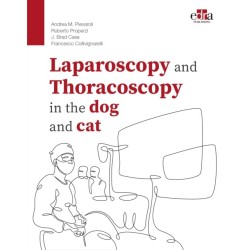 Laparoscopy and Thoracoscopy in the Dog and Cat