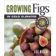 Growing Figs in Cold Climates: A Complete Guide