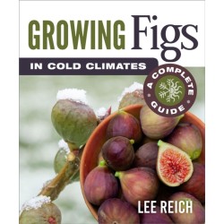 Growing Figs in Cold Climates: A Complete Guide