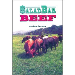 Salad Bar Beef