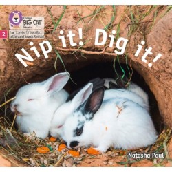 Nip it! Dig it!: Phase 2 Set 3