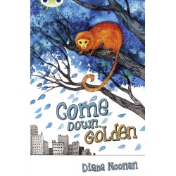 Bug Club Independent Fiction Year 3 Brown A Come Down, Golden