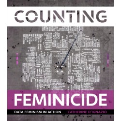 Counting Feminicide: Data Feminism in Action
