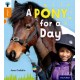 Oxford Reading Tree inFact: Level 6: A Pony for a Day