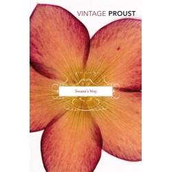 In Search Of Lost Time Vol 1: Swann's Way