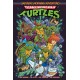 Teenage Mutant Ninja Turtles: Saturday Morning Adventures, Vol. 2