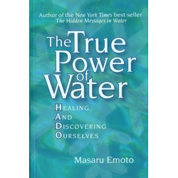 The True Power of Water: Healing and Discovering Ourselves