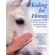 Healing For Horses