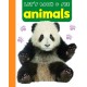 Let's Look & See: Animals