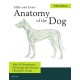Miller's Anatomy of the Dog