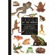 Frogs of the World: A Guide to Every Family