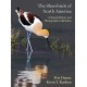 The Shorebirds of North America: A Natural History and Photographic Celebration