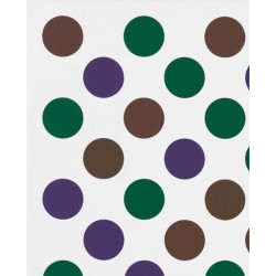 Bridget Riley: Past into Present