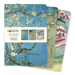 Vincent van Gogh: Blossom Set of 3 Midi Notebooks