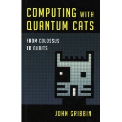 Computing with Quantum Cats: From Colossus to Qubits