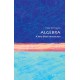 Algebra: A Very Short Introduction