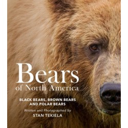 Bears of North America: Black Bears, Brown Bears, and Polar Bears