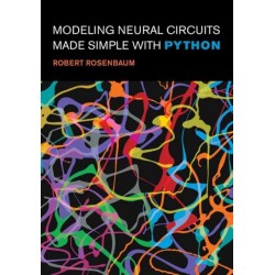 Modeling Neural Circuits Made Simple with Python