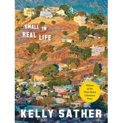 Small in Real Life: Stories