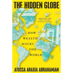 The Hidden Globe: How Wealth Hacks the World