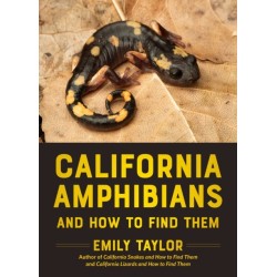 California Amphibians and How to Find Them