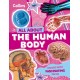 The Human Body: Discover Fascinating Facts About Our Amazing Anatomy