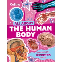 The Human Body: Discover Fascinating Facts About Our Amazing Anatomy