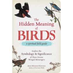 The Hidden Meaning of Birds--A Spiritual Field Guide: Explore the Symbology and Significance of These Divine Winged Messengers