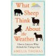 What Sheep Think About the Weather: How to listen to what animals are trying to say - The perfect stocking filler for the animal lover in your life