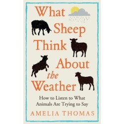 What Sheep Think About the Weather: How to listen to what animals are trying to say - The perfect stocking filler for the animal lover in your life