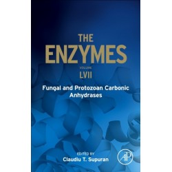 Fungal and Protozoan Carbonic Anhydrases