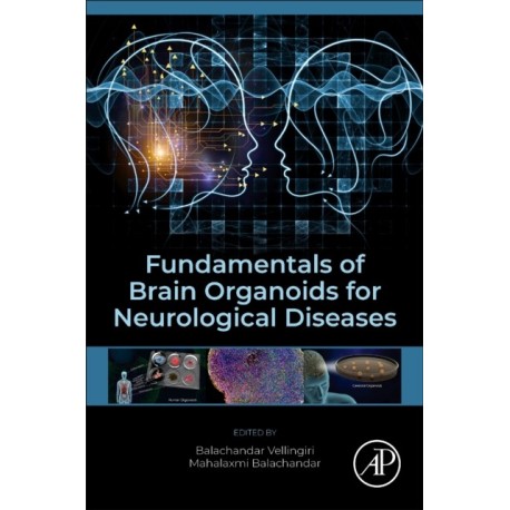 Fundamentals of Brain Organoids for Neurological Diseases