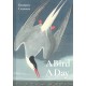 A Bird A Day